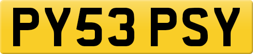 PY53PSY